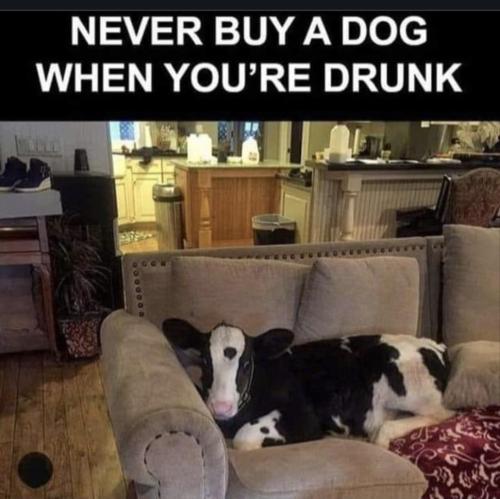 0f132ef2-f433-43d5-99d7-8795a2d9bad4