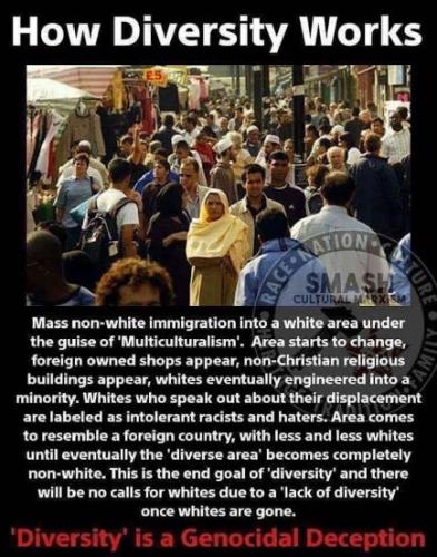illegal immigration283