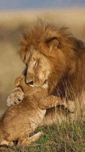 281216656_1194663904409260_8817079558656601714_n