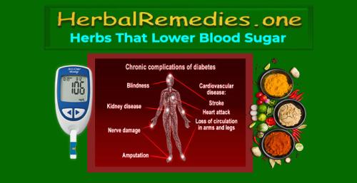 Herbalremedies.one - Herbs That Lower Blood Sugar