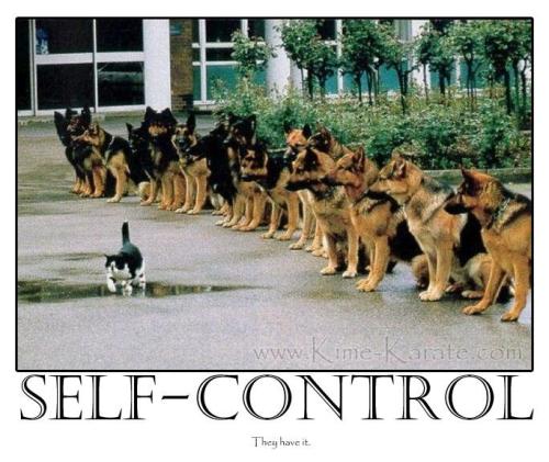 e51da890-5c88-40cd-bf1d-be72c3b715f6