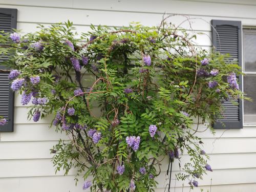 IMG_20220523_085602549