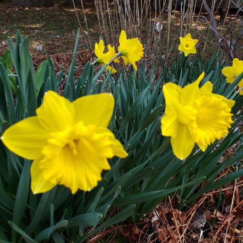 6cb6260a-bcab-468e-b6f5-071af7fea820