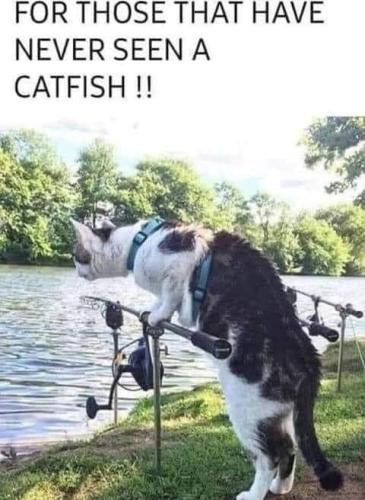 279263099_3341363962741806_3727510376410551371_n