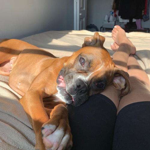 a744d2d9-49b9-4c55-8805-8555a6c8d7c8