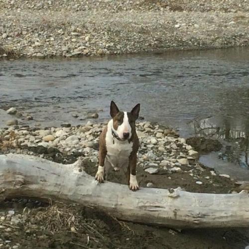 ff4216f5-5e0e-4415-8545-32fd5dfb0b1d