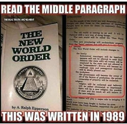 THE NWO BOOK