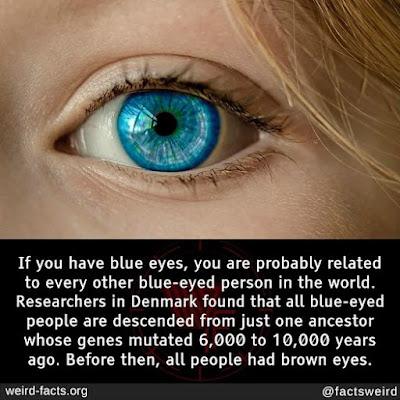 b2259e51-4bcb-4601-afb1-d459e943206b