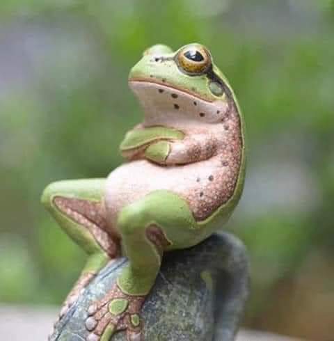 da166680-886a-46d3-9ec0-fc502645f77d