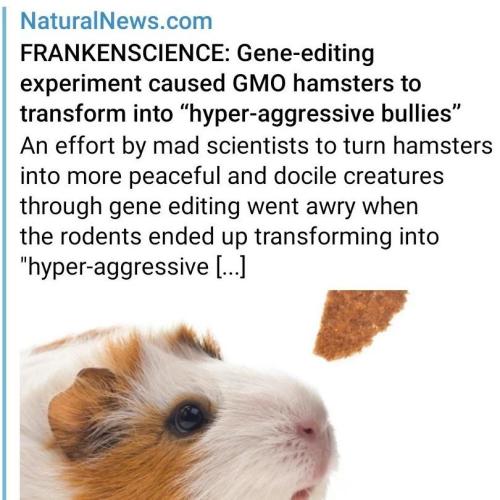 tumblr_9e869de2fc925ee1e6365f388399cf9a_b14dc8da_1280