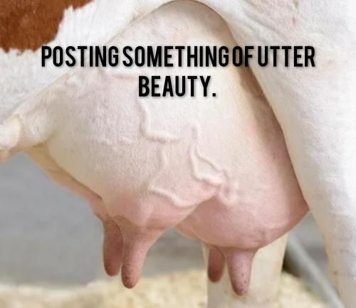 8f4a5f26-4cac-4404-8527-8c148926c801