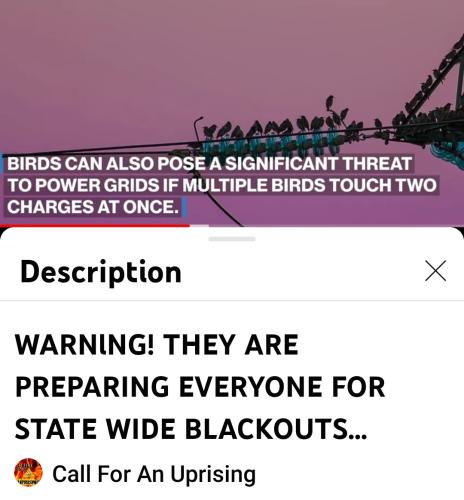 Screenshot_2022-05-10-12-02-48-187_com.google.android.youtube~2
