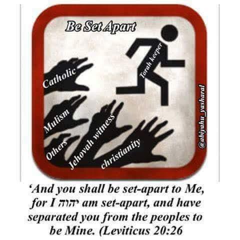 bd8fa5f5-e76a-4aab-b744-f8fe63c1402c