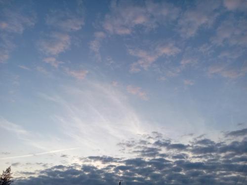 1f6a97ff-b641-494a-afc9-346cffba454c