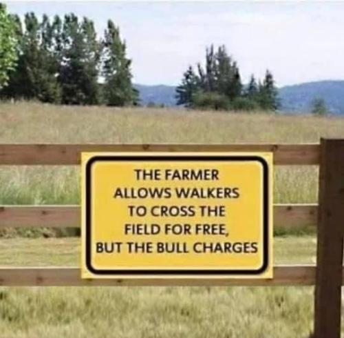 283499377_5522130377799376_1131478520809553599_n