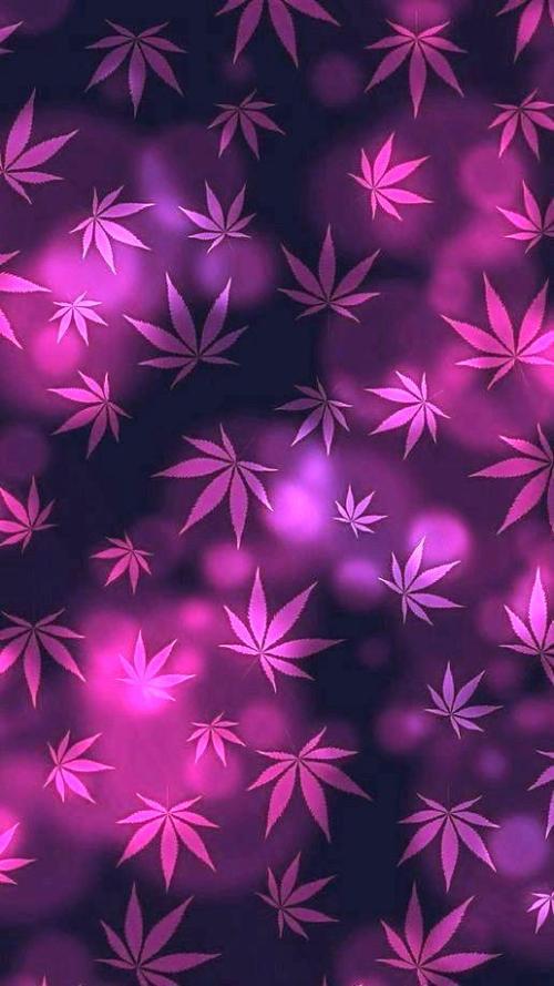 4d30c7fa-d27d-4dfa-affb-c88e30dcf6ed