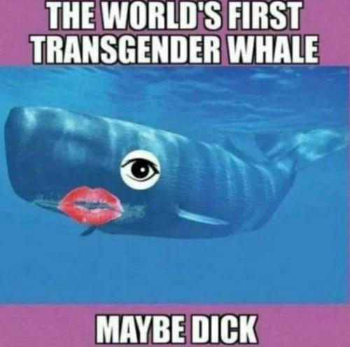 993671cb-da79-40ac-a450-771a35b4877f