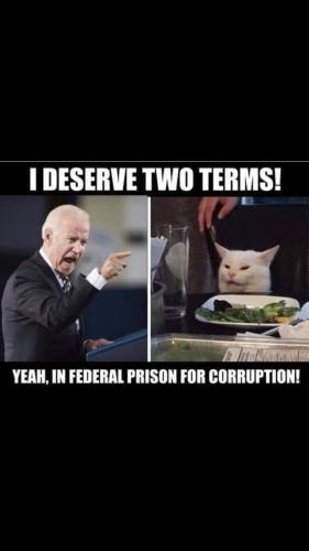 FB_IMG_1653286326731