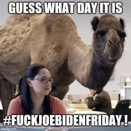 baf0efe4-41a3-488a-b14a-7c039a0e5975