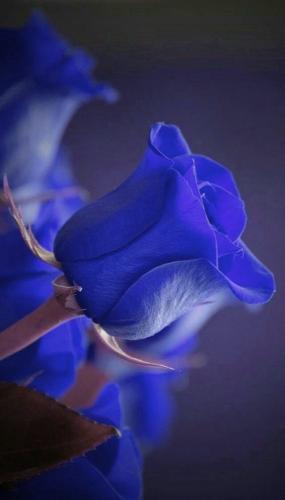 09:22:56 GMT-0500 (CDT)