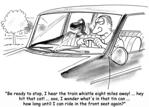 279721157_3082648448732106_4820726965389065687_n