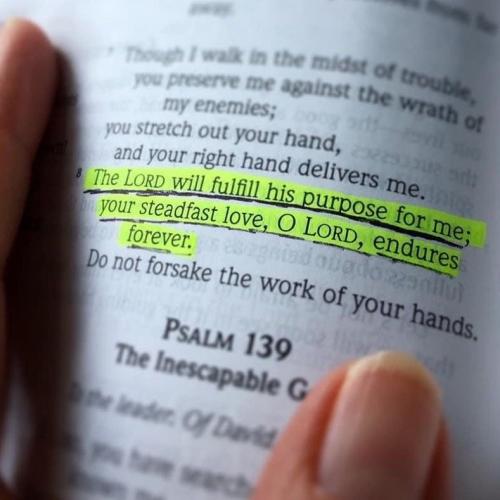 b246466fa6f7c87710fa72ca4b34e137