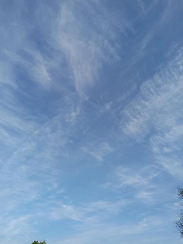 09cbed4f-bbbf-471f-b92b-7fdeee42071d