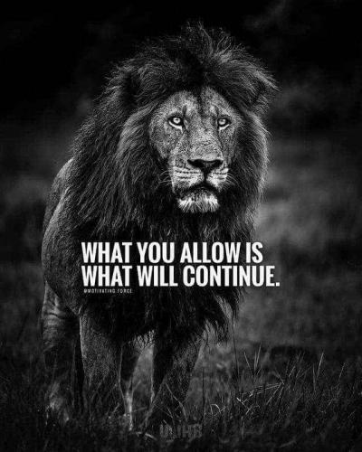 ce55970b6e2675fdc00c4826dc416096_1024