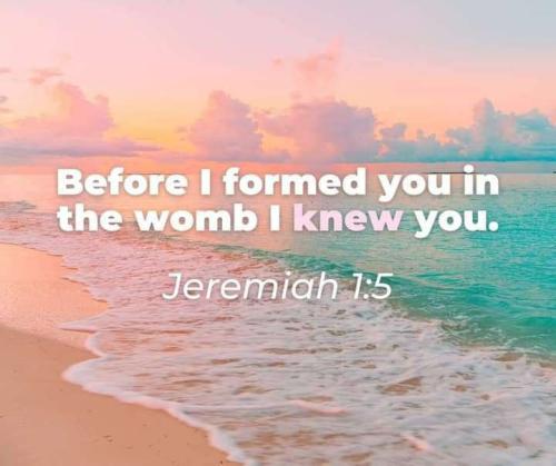 2dd21898-9a23-409f-8244-1b24553a42e0