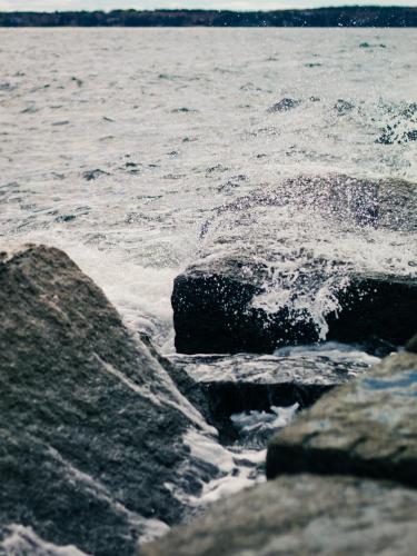 20f4aad2-d3c7-4372-a360-7591b3e12667