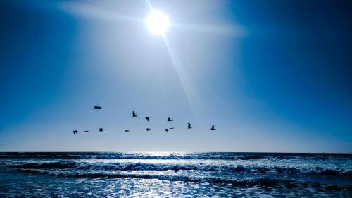 01dcfea9-4287-4309-baf2-d2198fe4ae12