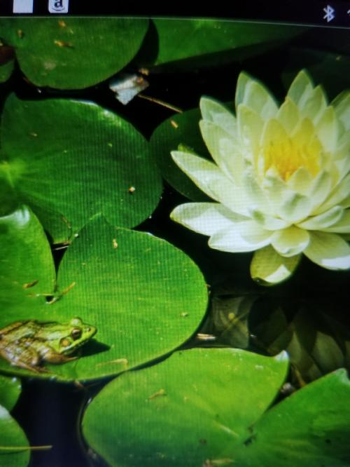 feb8e950-551b-4e0d-9e91-babb622cb05e