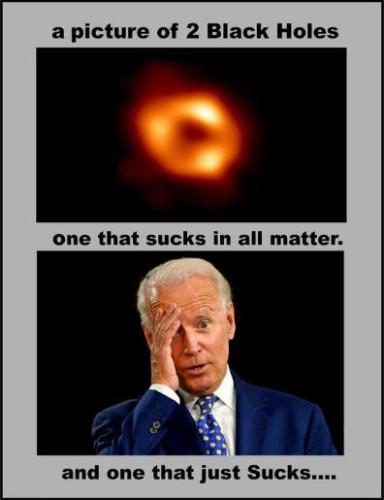 biden956