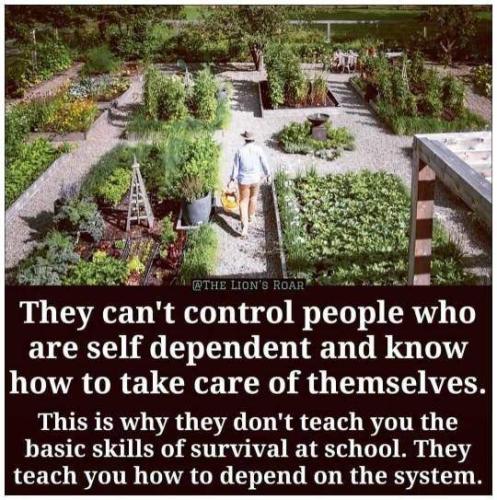 9faa302e-7258-49fe-ada0-0e42b4b90b67