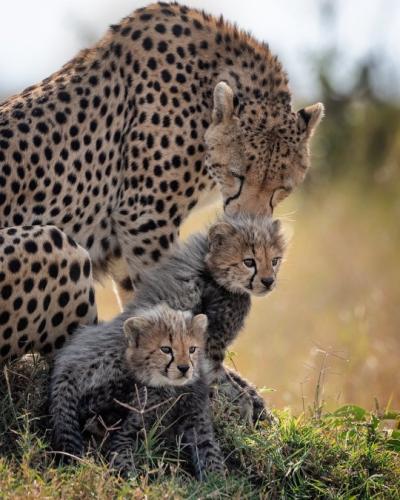 tumblr_3737da34e2c899a8edacfd4a125aaa45_c9a57d50_540