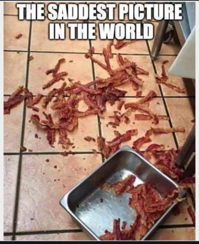 3a884e03-5d91-4e5b-9504-9313b3ecb8de