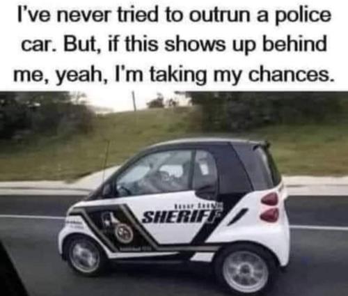 FB_IMG_1653539949976