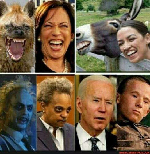 c8e902a8-747e-4cc1-aeeb-00c67174fa4d