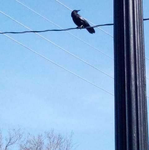 91893557-d25b-4b68-833a-636afcaa75b1