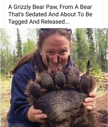 38c7d530-245c-4974-b61c-a1d34a592cc6