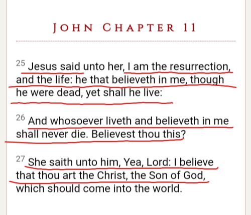 Screenshot_20220520-193611-239