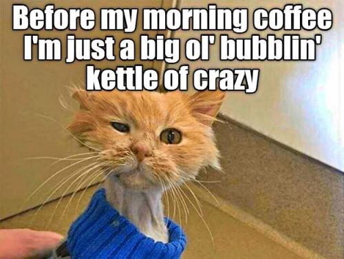 59771479_2313777648684308_1060450755644751872_n