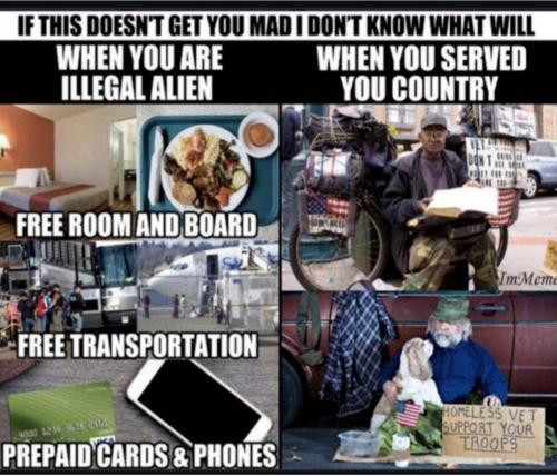 d529ab20-ed41-4266-b1a6-cabb1029e7c1