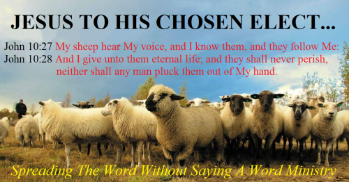 280049134_1443420282746418_8197676728036620544_n