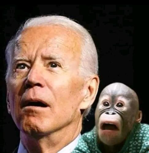 15:38:05 GMT-0400 (EDT)