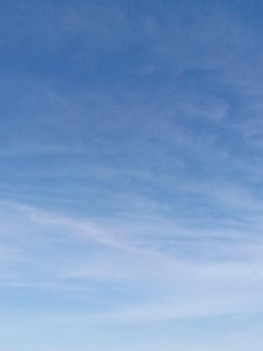 365ed368-5ef7-43cf-9903-5aa834127bc5