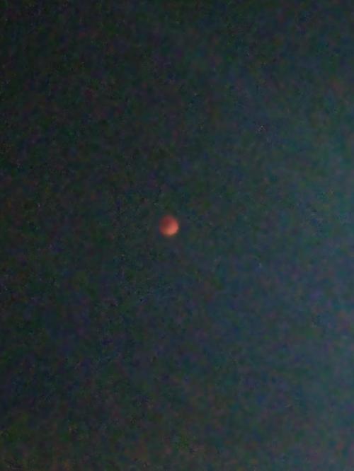 0ad30245-eca5-4dd3-a1c5-b2927d0d6eb6