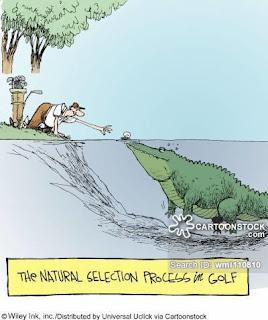 b29b9731-b737-4cf9-a3bc-5b1c12afe9d7