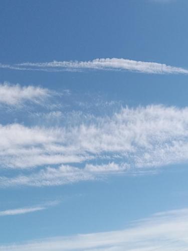 fa5275f1-1050-4dc8-b4a5-ca9aa5a15cf0