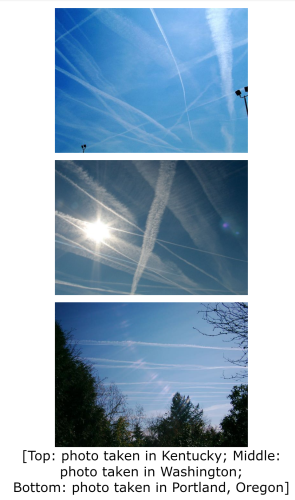 Screenshot_2022-05-25-03-10-31_kindlephoto-256671593